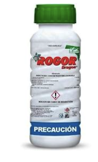 Rodor